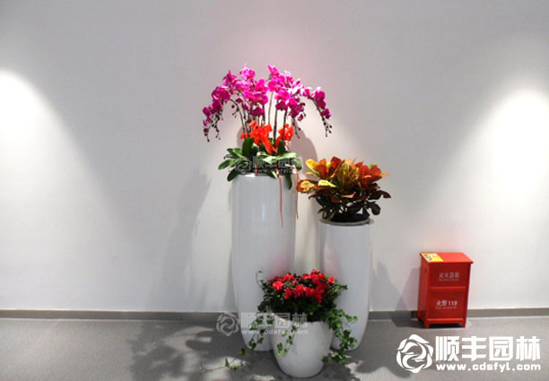 辦公租賃案例